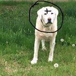 Profile Picture of Marilyn Blake (@marilyn_blake1965) on Instagram