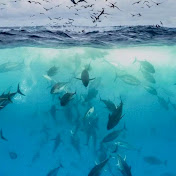 Profile Picture of Keith Edwards (@keithedwards8803) on Youtube