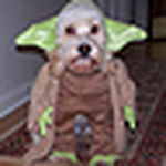 Profile Picture of Sechini (@sechini) on Flickr