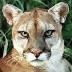 Awni Al Naber - Instagram Profile Picture of Awni Al Naber (@awnialnaber) on Instagram