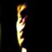 Profile Picture of Shaun Cotton (Stupid) (@shaun.cotton.9) on Facebook