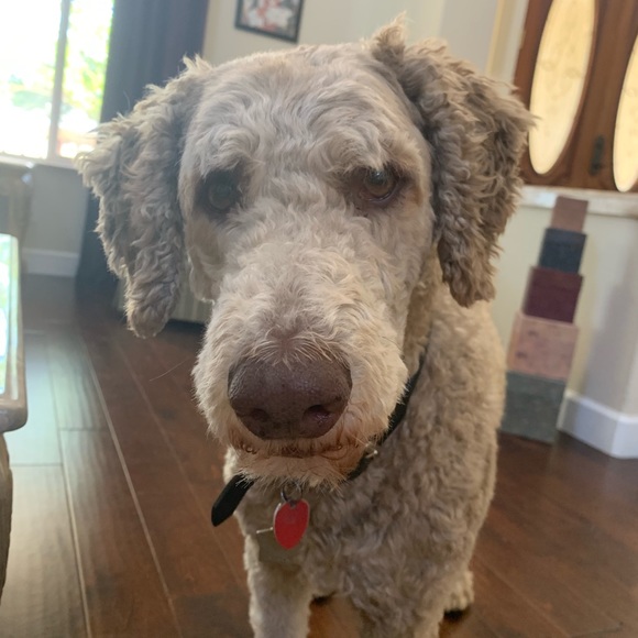 Sam Fidler - Poshmark Profile Picture of Sam Fidler (@samdaham325) on Poshmark