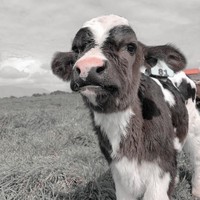 Profile Picture of Olivia Putnam (@olivia-putnam-11) on Quora