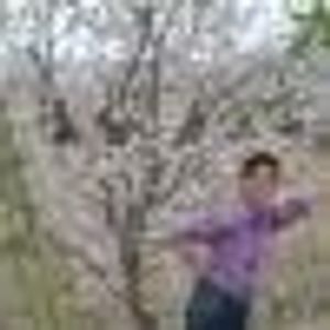 Profile Picture of Hosein Boroujerdi (@355968466) on Myspace