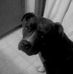 Profile Picture of Cody Booker (@cody.booker.94) on Facebook
