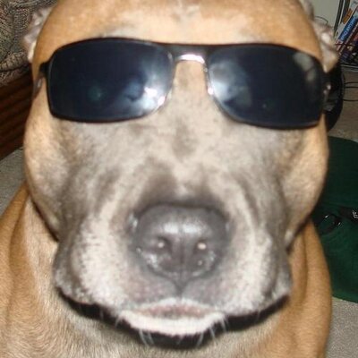 Profile Picture of Jonathan (@jc_holmes) on Twitter