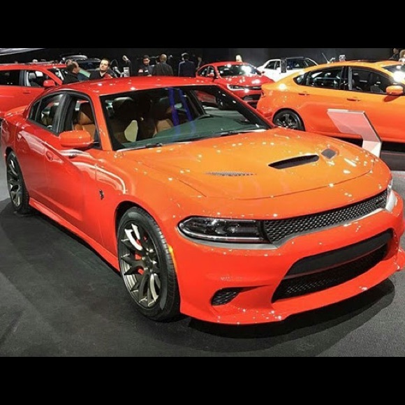 Omar Landeros - Poshmark Profile Picture of Omar Landeros (@oland12) on Poshmark