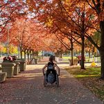 Profile Picture of Matthew Orris (@orris25) on Instagram