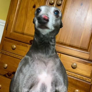 Profile Picture of Andrew Caron (@caron.andrew) on Instagram