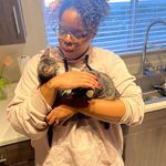 Brianna Wolcott - Instagram Profile Picture of Brianna Wolcott (@goteamventurestein) on Instagram