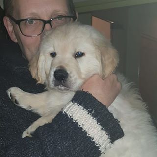 Profile Picture of Harald Wonnink (@harald.wonnink) on Facebook