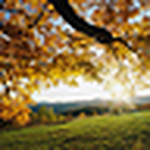 Profile Picture of Katelyn Cummings (@i love you bunches!! (:) on Flickr