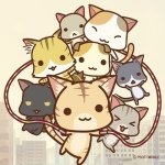 Profile Picture of Xiaoning Li (@xiaoning_89) on Instagram