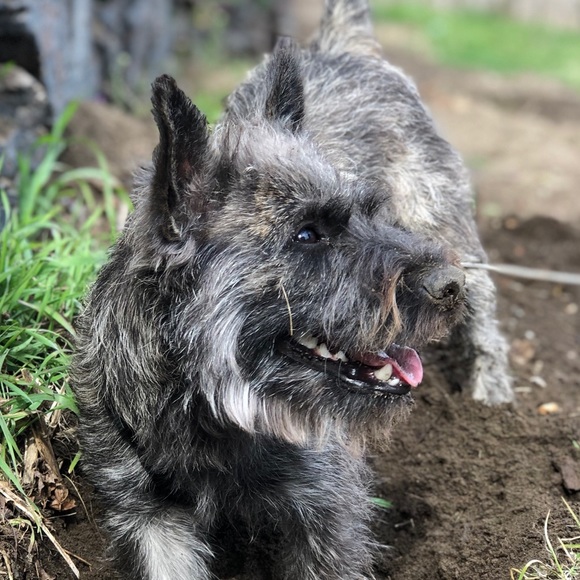 Profile Picture of Konrad Dufner (@kldufner) on Poshmark