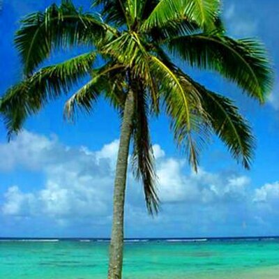 Brandon Alan Pauley - Twitter Profile Picture of Brandon Alan Pauley (@bapauley) on Twitter