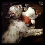 Profile Picture of Jonelle Dhondt (@jonelledhondt) on Instagram