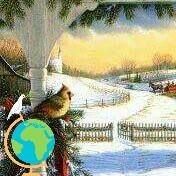 Profile Picture of Corina Tarcea (@Corina-Tarcea) on Facebook