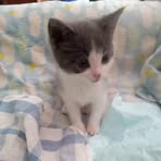 Profile Picture of Susan Daves (@susan.daves.3) on Facebook