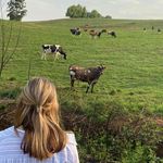 Profile Picture of Amber Cusens (@amba_cusens) on Instagram