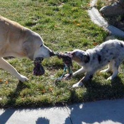 Tracey Garrett - Twitter Profile Picture of Tracey Garrett (@TrezGarrett) on Twitter