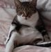 Profile Picture of Christopher Meehan (@christopher.meehan.146) on Facebook