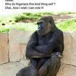 Profile Picture of Peter Raphael (@peter.raphael.3979) on Instagram