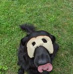 Profile Picture of Matthew Knarr (@Matthew-Knarr) on Facebook