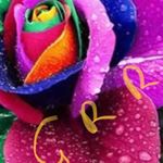 Profile Picture of Andrew delengas (@andrewdelengas) on Instagram