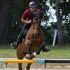 Profile Picture of Matthew Goetsch (@@mgfarrierservice) on Tiktok
