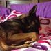 Profile Picture of Lexi ProskovecJessen (@lexi.proskovecjessen) on Facebook