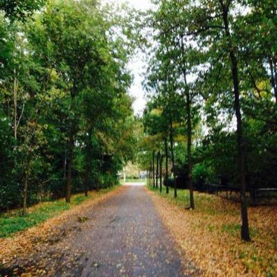 Profile Picture of Adam Gong (@Adam0Gong) on Twitter