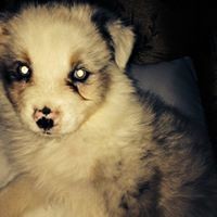 Profile Picture of Preston Mullins (@preston-mullins-1) on Quora
