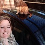 Profile Picture of Kim wiles (@kim.wiles1243) on Instagram