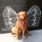 Profile Picture of Max Brady (@themaxbrady) on Instagram