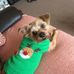 Profile Picture of Stephen Morrissey (@stephen.morrissey.528) on Facebook