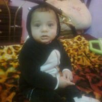 Profile Picture of Omar Shaker (@omarshaker840) on Twitter