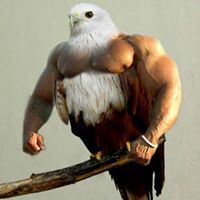 Profile Picture of Joshua Mendez (@rafmendez92) on Pinterest