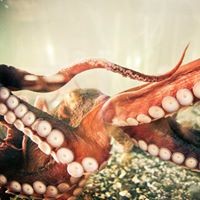 Profile Picture of Christopher Curran (@christopher-curran-7) on Quora