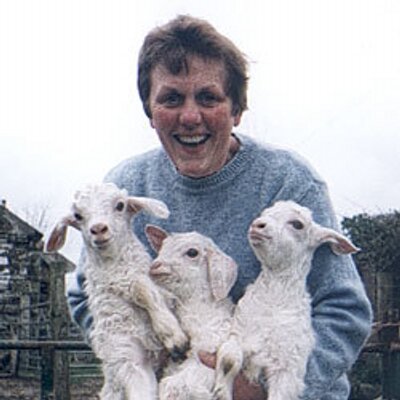 Profile Picture of Lillian Boulton (@LillyHandKnit) on Twitter