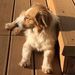Profile Picture of Oliver Lüönd (@oliverlnd) on Pinterest