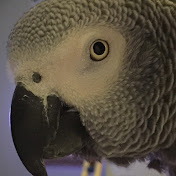 Profile Picture of Steven Brook (@stevenbrook5760) on Youtube