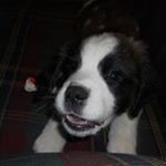 Profile Picture of Carlene Sawtell Weaver (@sawtellweaver) on Instagram