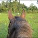 Profile Picture of Leslie Crosby (@leswad99) on Pinterest