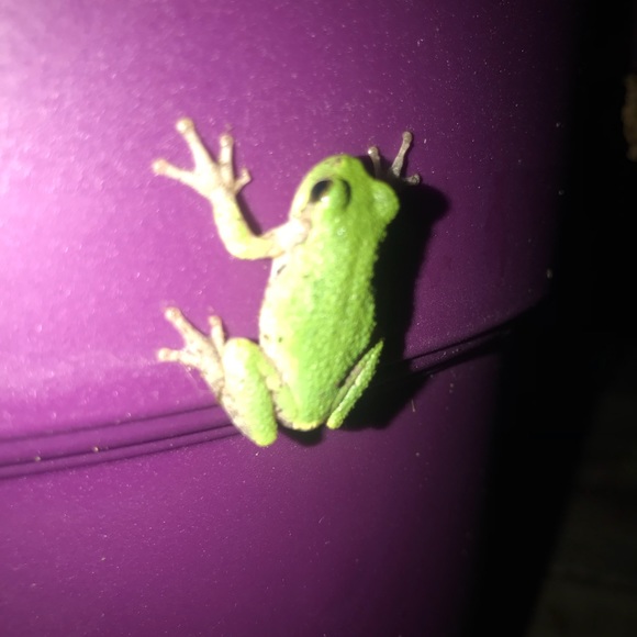 Profile Picture of Chris Mcintyre (@chrismcintyre) on Poshmark