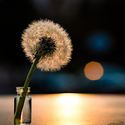 Profile Picture of Joel Alex (@joelalex9073) on Youtube