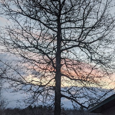 Profile Picture of Steven John Hendren (@StevenJohnHend2) on Twitter