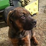Profile Picture of jaegerbomb1073 (@randy_jaeger) on Instagram