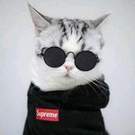 Profile Picture of @RAFFA_ARAYAN (@raffa_araya) on Instagram