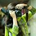 Profile Picture of Faryal Qureshi (@faryal.qureshi.5855) on Facebook