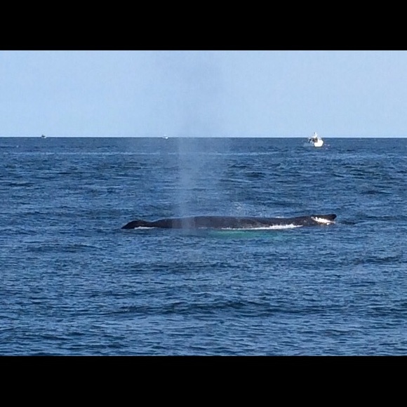 Profile Picture of Betty Braese (@womenclothes) on Poshmark